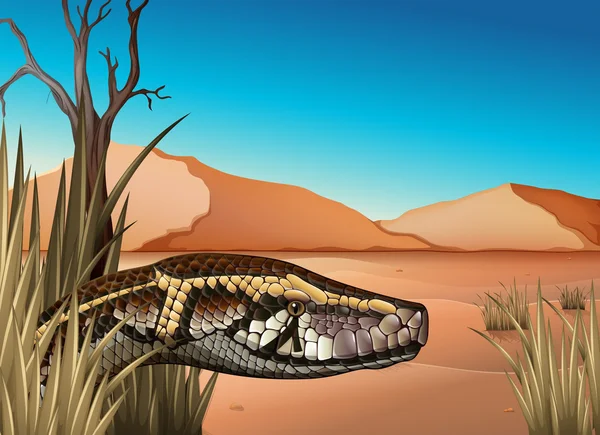 Un desierto con un reptil — Vector de stock