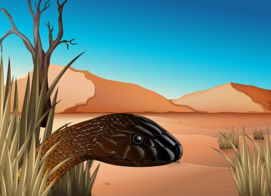 A reptile at the desert clipart