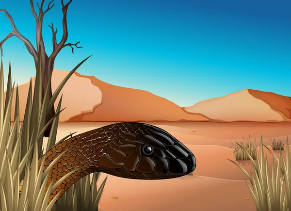 Рептилия в пустыне — стоковый вектор