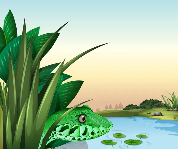 Un reptil cerca del estanque — Vector de stock
