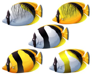 Five colourful fishes clipart