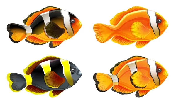 Cuatro peces de colores — Vector de stock