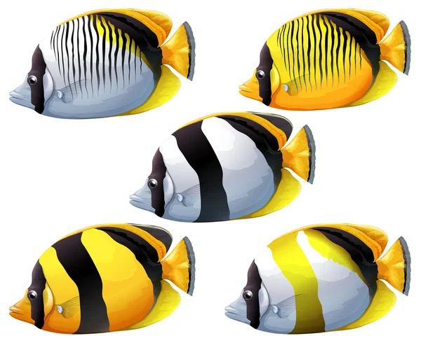 Cinq poissons colorés — Image vectorielle
