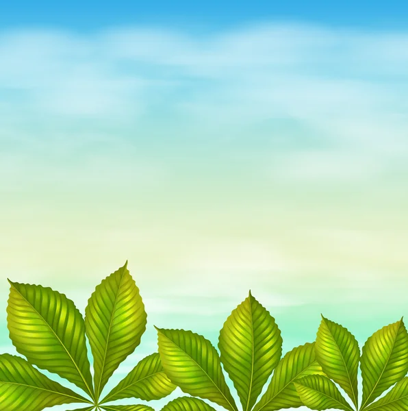 Ενός σαφούς μπλε ουρανού και τα πράσινα φύλλα — Διανυσματικό Αρχείο