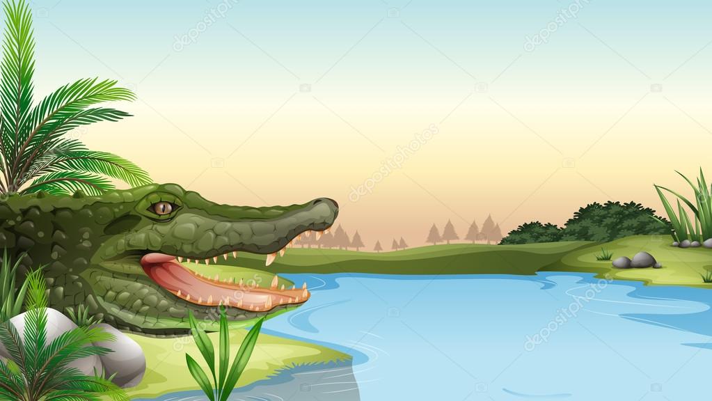 A reptile at the river