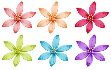 Six flowers clipart