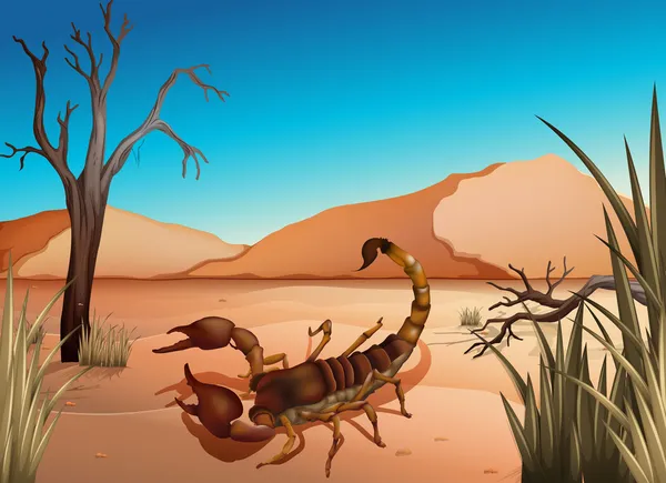 Um deserto com um escorpião —  Vetores de Stock
