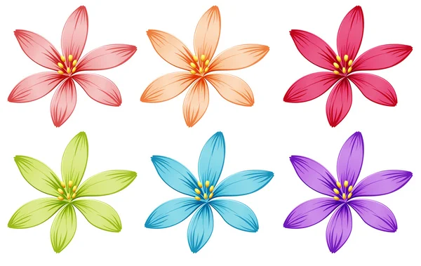 Шесть цветов — стоковый вектор