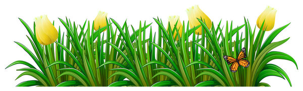 A garden with yellow flowers