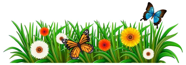 A garden with blooming flowers and butterflies — Stock Vector