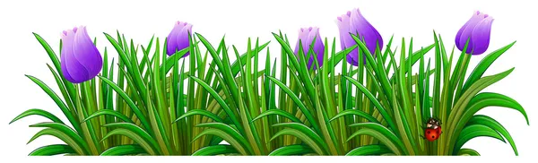 与紫色花的开花植物 — 图库矢量图片
