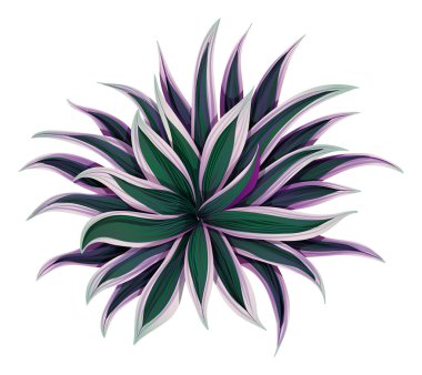 alacalı Musa'nın TOPVIEW