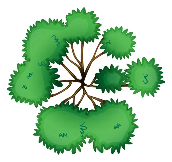 Une vue d'ensemble d'un arbre — Image vectorielle