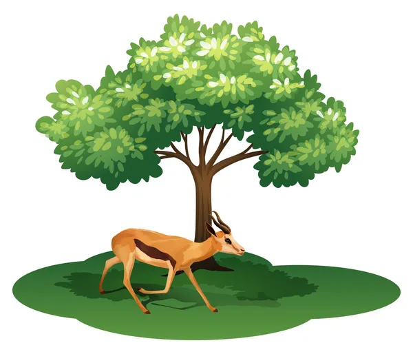 A deer under the tree — Stock Vector