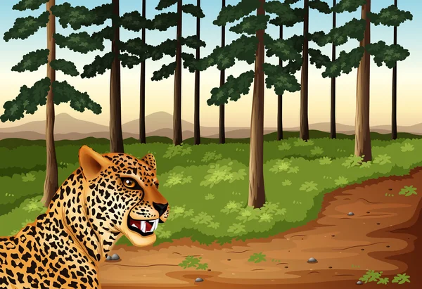 Um leopardo na floresta —  Vetores de Stock