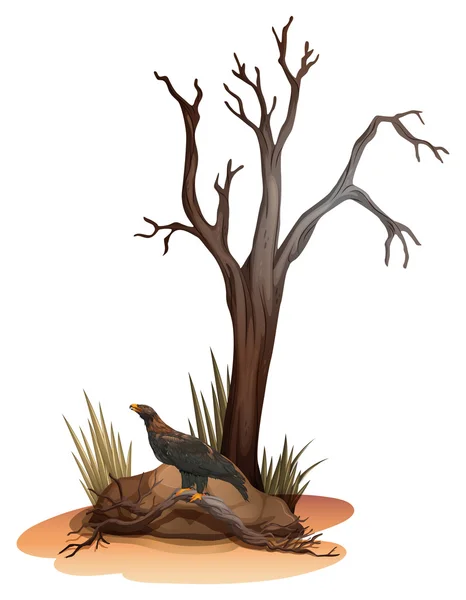 一个垂死的树与一只野生的鸟 — 图库矢量图片