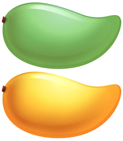 A green and a yellow mango Vector Graphics