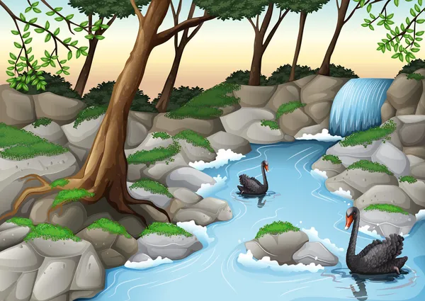 Un bosque con cisnes — Vector de stock