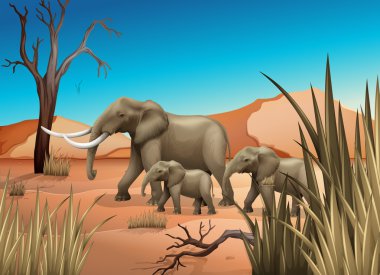 Elephants at the desert clipart
