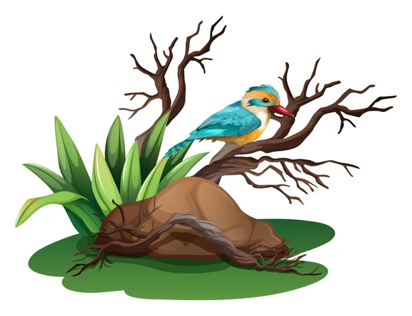 Ein Vogel am Ast eines Baumes — Stockvektor