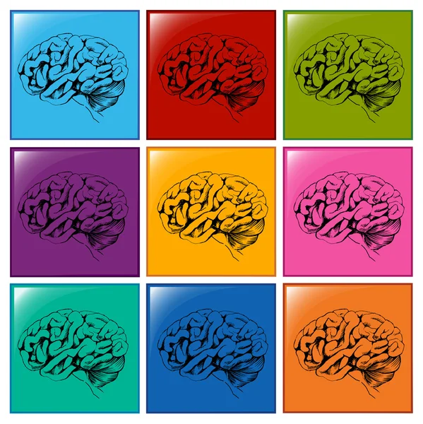 Icônes du cerveau — Image vectorielle