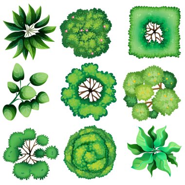 Topview of leaves clipart