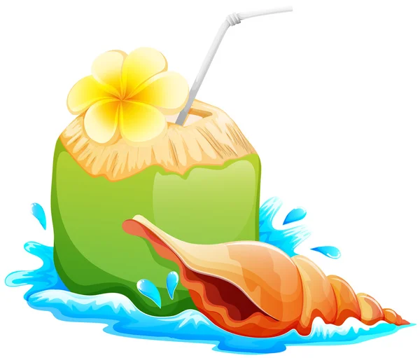 Una bebida refrescante y saludable para el verano — Vector de stock