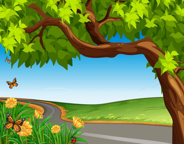 Yol, dev bir ağaç — Stok Vektör