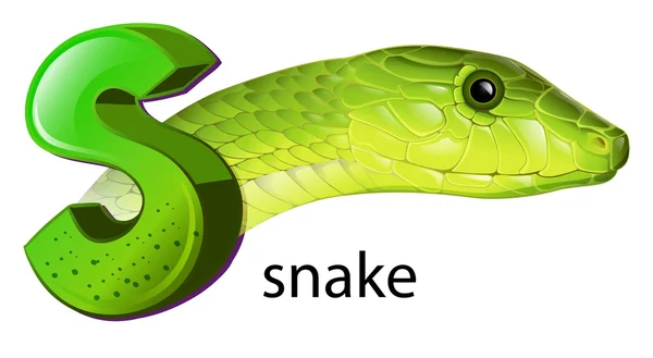 一条蛇和字母 s — 图库矢量图片