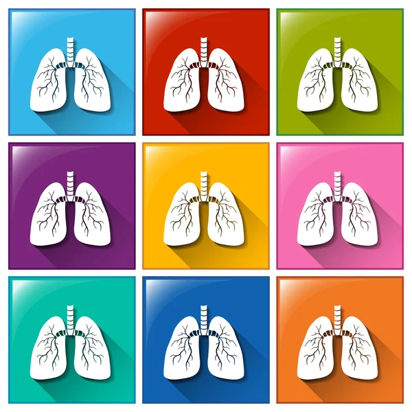 Icônes d'organes internes — Image vectorielle