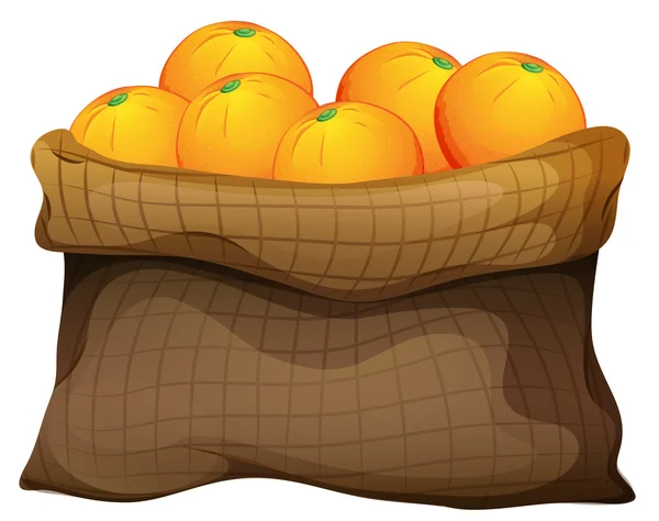 오렌지의 자루een zak van sinaasappelen — Stockvector