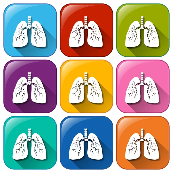 Icônes pulmonaires — Image vectorielle