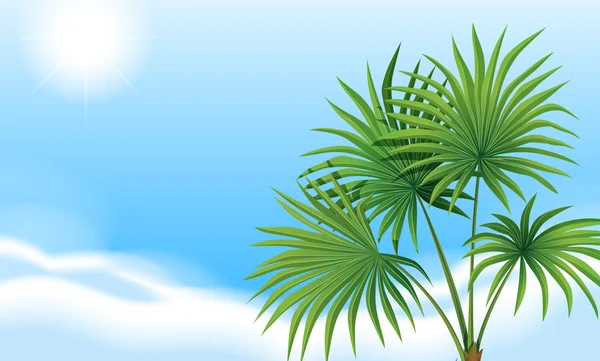 Een palm plant en een heldere blauwe hemel — Stockvector