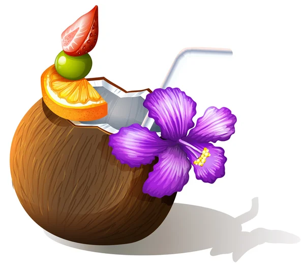 En uppfriskande kokosnöt juice — Stock vektor