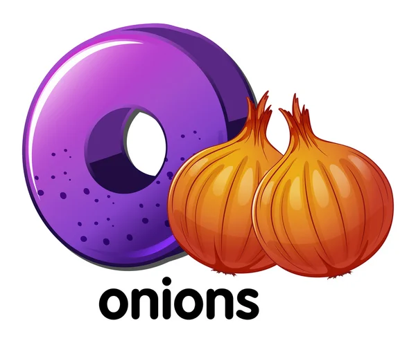 A letter O for onions — Stock Vector