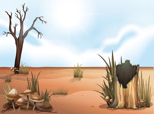 沙漠 — 图库矢量图片