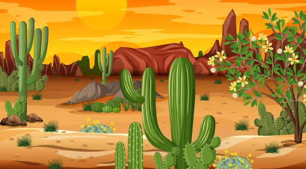 Woestijnbos Landschap Bij Zonsondergang Tijd Scène Met Veel Cactussen Illustratie — Stockvector