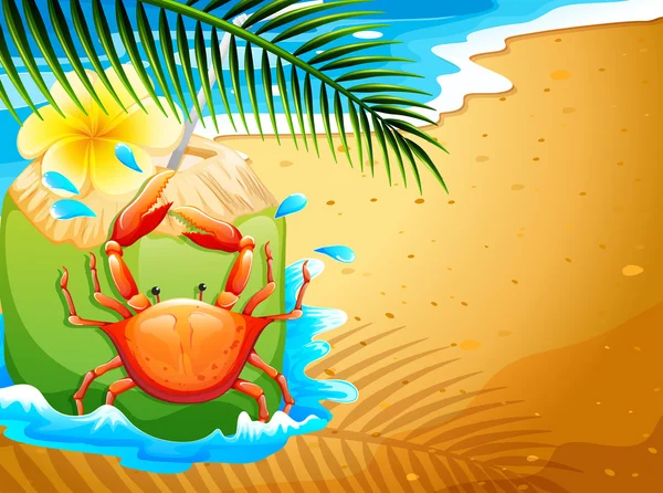 A beach with a refreshing coconut drink and a crab — Stock Vector