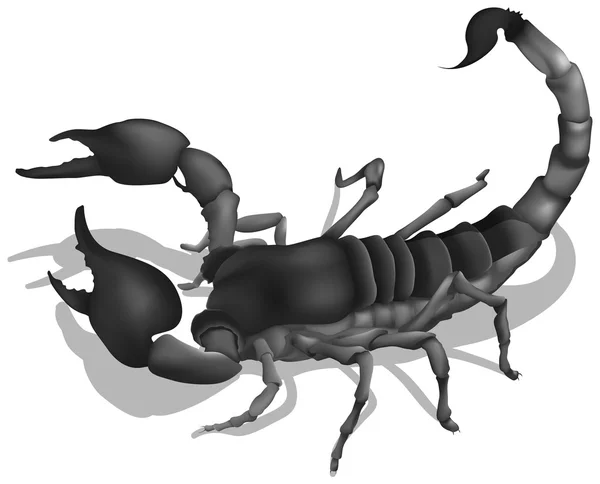 Smrtící scorpion — Stockový vektor