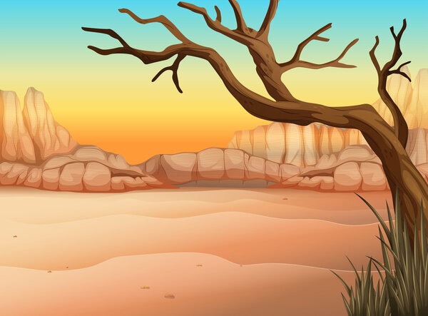 A desert with a tree without leaves