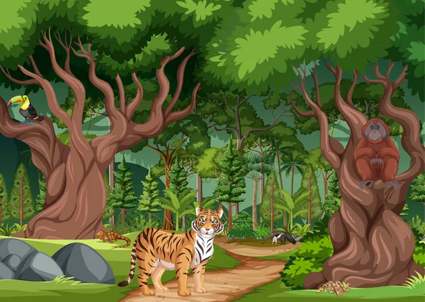 Bosque Lluvioso Bosque Tropical Con Diferentes Animales Salvajes Ilustración — Vector de stock