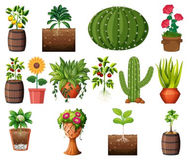 Beyaz arkaplan illüstrasyonunda izole edilmiş çömleklerdeki farklı bitkiler