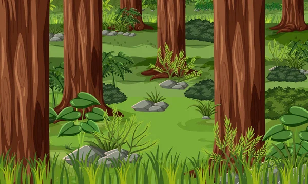 Tropical Forest Landscape Background Illustration — Stock Vector