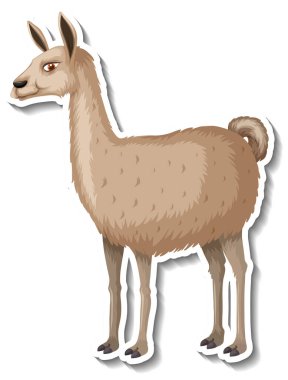 Lama çizgi film karakteri illüstrasyonunun bir etiket şablonu