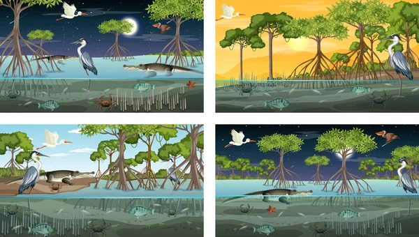 Verschiedene Mangrovenwälder Landschaftsszenen Mit Tieren Und Pflanzen Illustration — Stockvektor