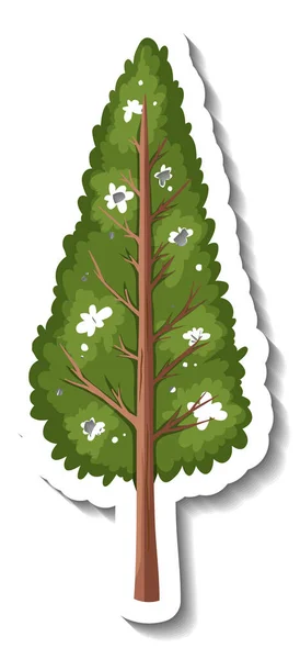 Sticker Evergreen Tree White Background Illustration — Stock Vector