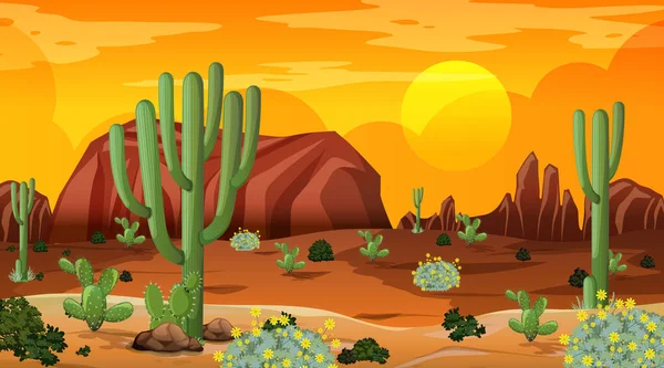 多くのサボテンのイラストと日没時のシーンで砂漠の森の風景 — ストックベクタ