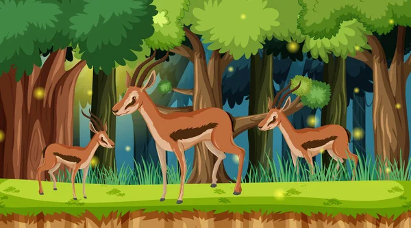 Wilde Dieren Het Bos Landschap Achtergrond Illustratie — Stockvector