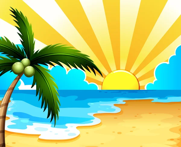 Een prachtig strand met een kokosnoot boom — Stockvector