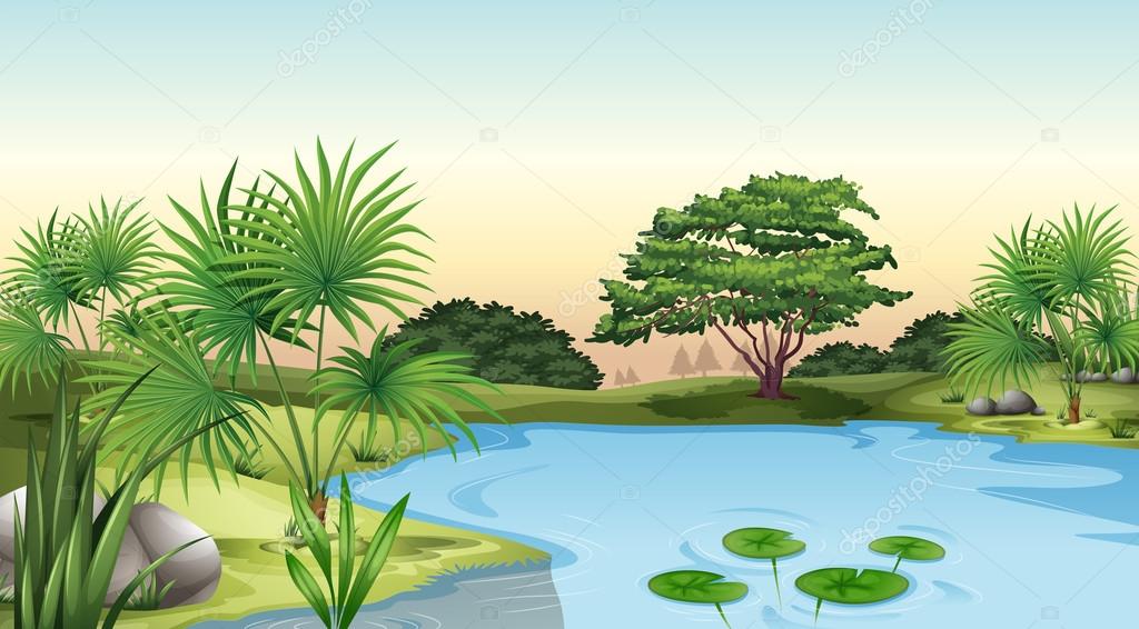 Green plants surrounding the pond